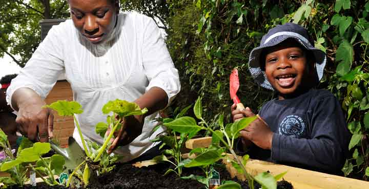 Adults and children planting things