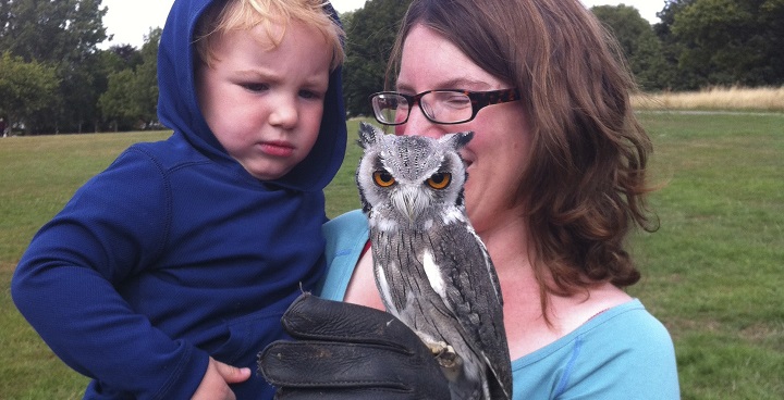 Streatham Common Birds of Prey display