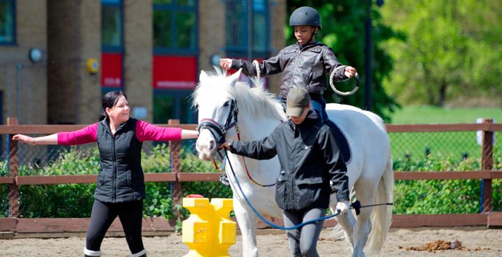 Horses at Vauxhall City Farm