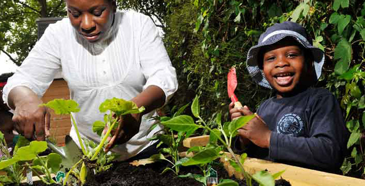 Adults and children planting things