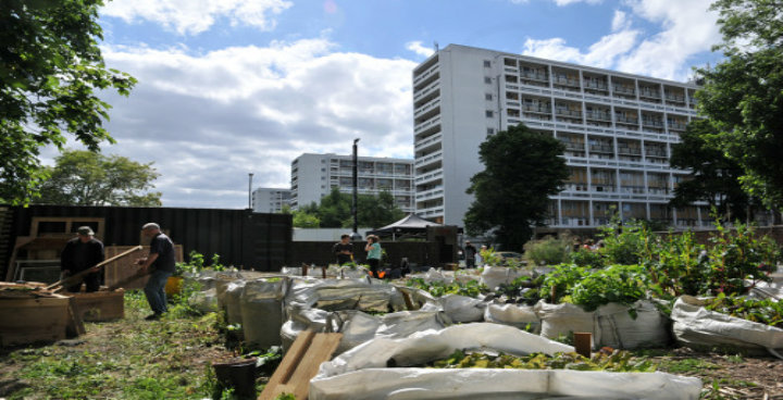 Funding boost for growing food, skills and businesses at Loughborough Farm