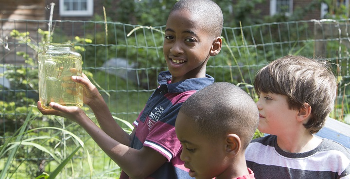 Children enjoying a garden