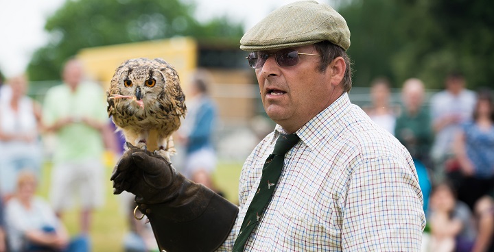 Lambeth Country Show 2016 – our picks for the weekend