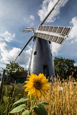 Image of Brixton Windmill on a sunny day, with sunflower in foreground