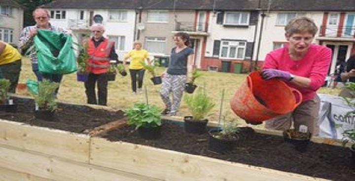 4 x Gardeners planting & watering new plants in raised bed