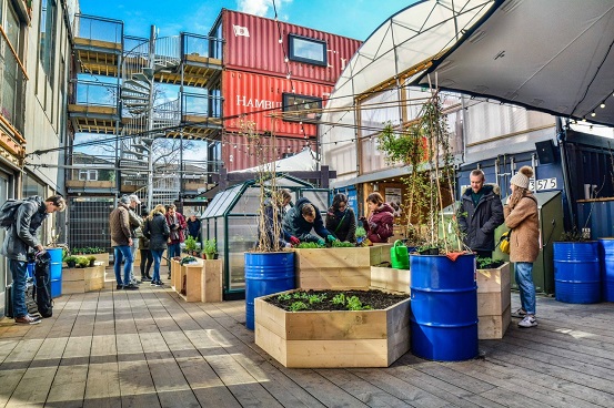 Urban Growth harvest feast at Pop Farm, Pop Brixton 2016