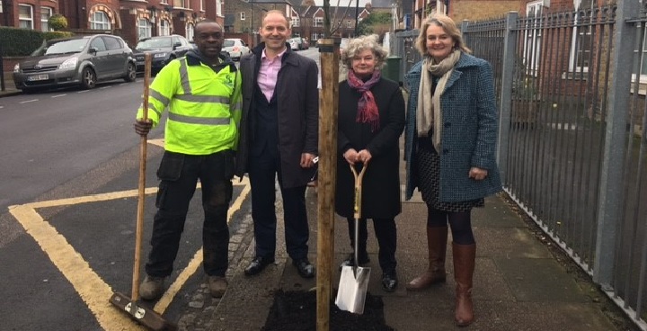 250 trees to be planted as part of ‘Our Streets’ initiative