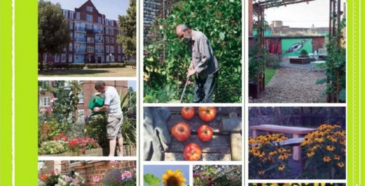 collage of images in frames: watering garden, apples, garden flowers, pergola with climbers etc