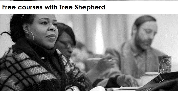 Free finance class with Tree Shepherd