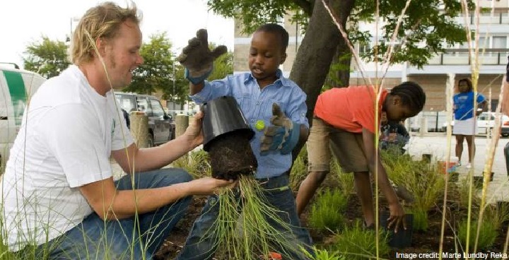 A community planting session in progress