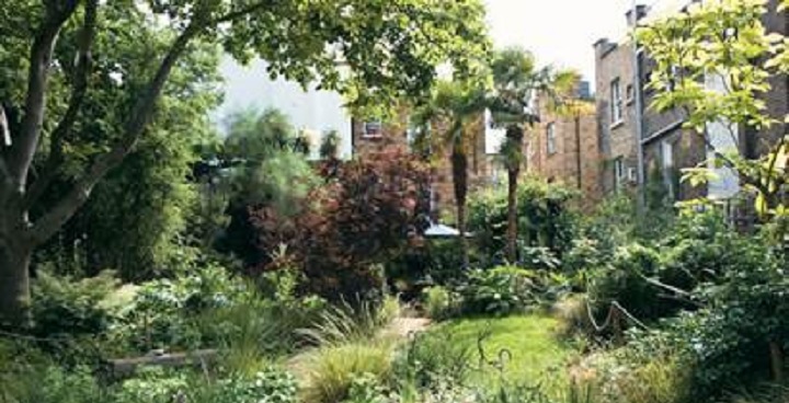 Image of Bonnington Square, which is a secluded and quirky part of Lambeth full of exotic flowers and palm trees.