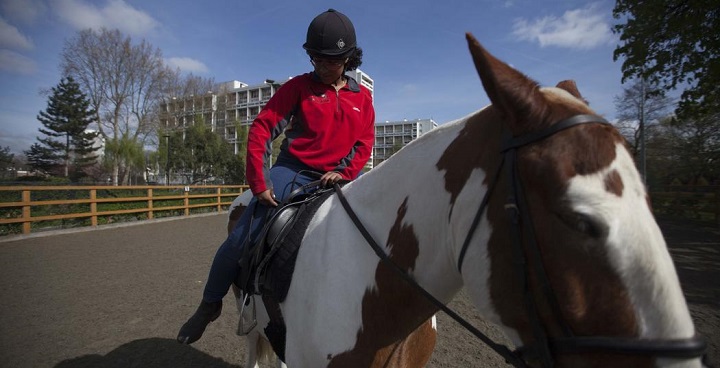 New Lambeth Mayor to raise funds for “amazing” Brixton horse charity