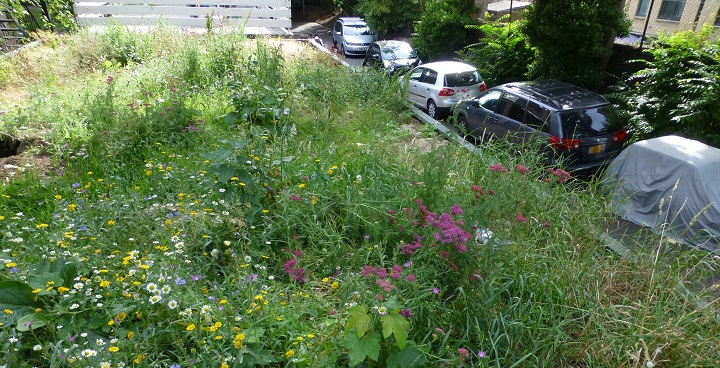 garage roof replanted as wildflower meadow on Calias Gate estate, North Lambeth