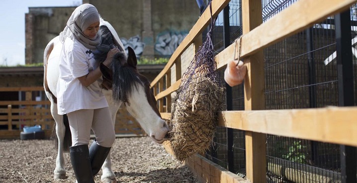 A community horse riding centre in Brixton