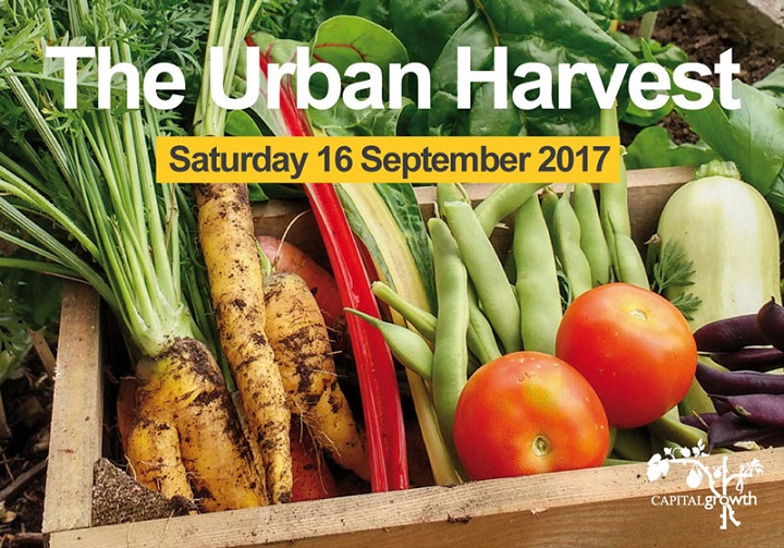 Selection of vegetables, caption reads "Urban Harvest, Saturday 16 September 2017"