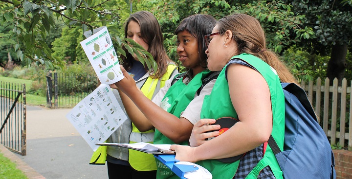 Three secondary studients in 'trees for cities' green hi-viz tabards identiftying trees from leaf shapes on a checklist