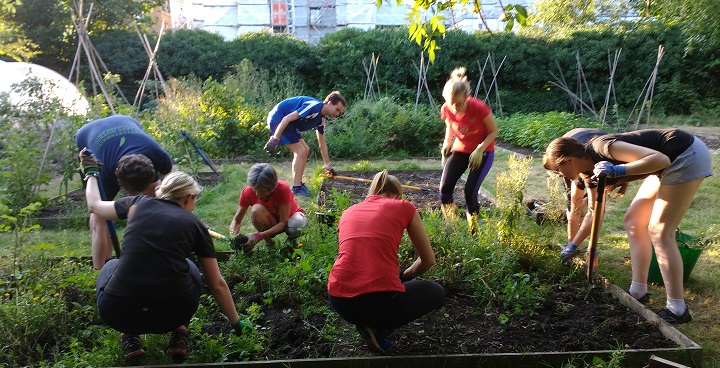 Group of runnners in shorts and vests work on a group project for a garden
