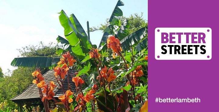 Canna lillies in the 'hot border' at BRockwell gardens won a 'Blooing Lambeth' award 2017