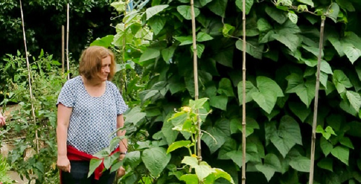 Woman in blue among green plants on tall poles in Brockwell Park GP surgery garden
