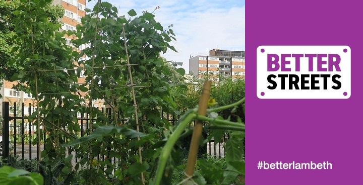 Vegetables growing at Blooming Lameth 2017 Community Gardens winner Coade Street (Paradise Gardens)