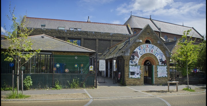 New shoots training in horticulture at Vauxhall City Farm