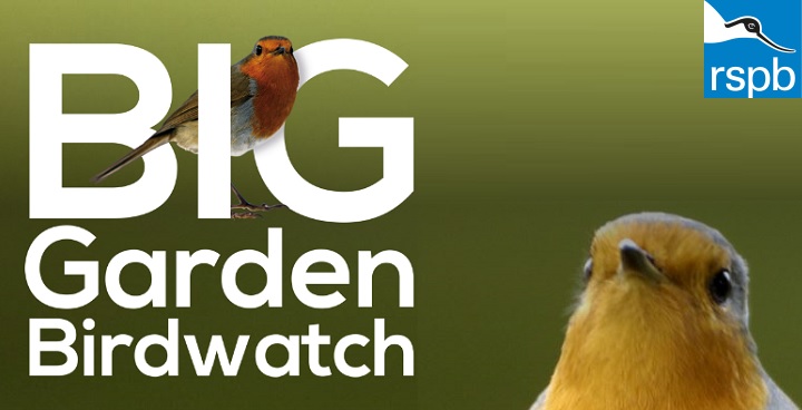 RSPB Big Garden Birdwatch, written next to a robin.