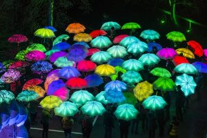Umbrella Project by Cirque Bijou.