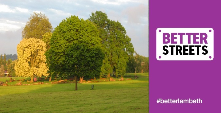 Copse of 3 trees in a park with Better Streets logo