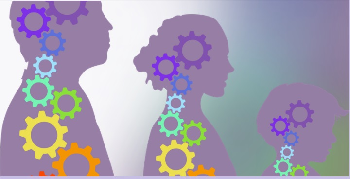 Purple graphic of male, female and child going down in size each individual filled with cogs.