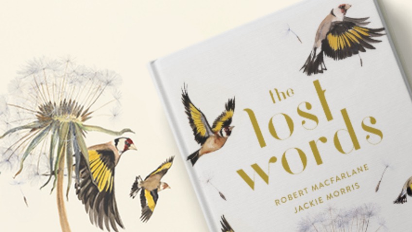 The lost words - a book about the names of birds, animals and wild flowers in the UK and how they are disappearing from children's vocabularies