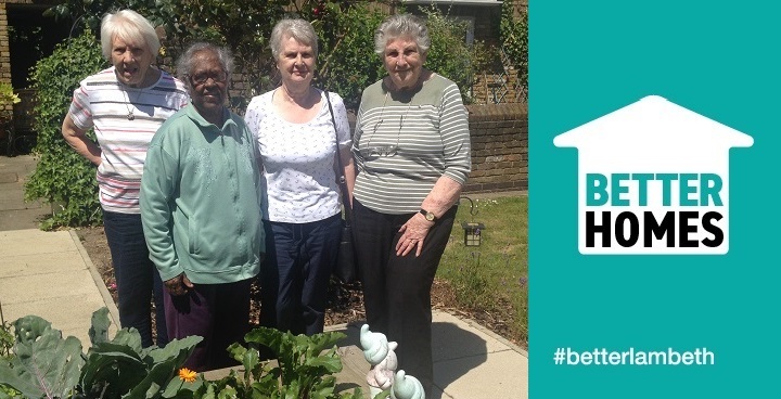 Residents of Castle House (and their neighbours) have started a vegetable growing garden in raised flowerbeds