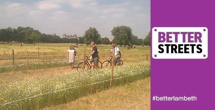 London in Bloom July 2018 judges see wildflower meadow on Clapham Common