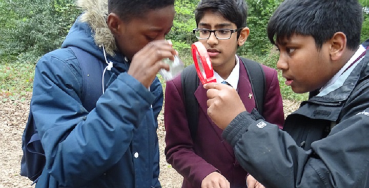 3 teenage boys in blazers look at insect specimen jar with magnifying glass and make notes - part of Nature Vibezzz Knights Hill Woods environment & heritage activities for St Joseph's school