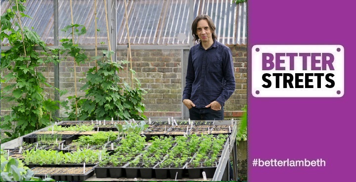 Blooming Lambeth 2018 awards: Community Gardner Fabrice Boltho of Myatt's Fields Greenhouses with trays full of plug plants for other gardens