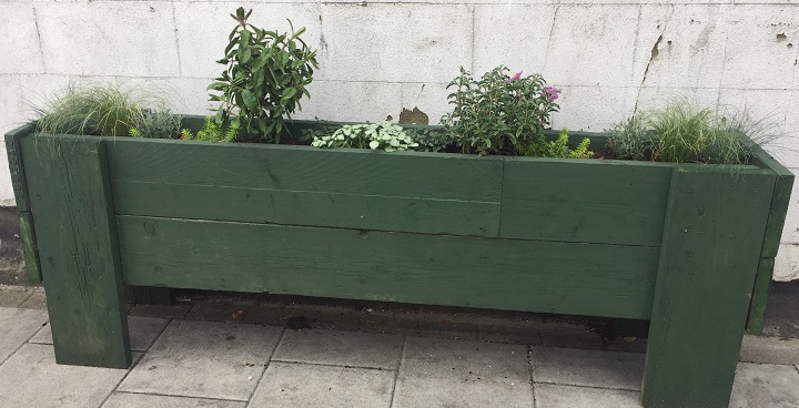 Green wooden planter with hebes, etc, on the streets of Herne Hill - installed to discourage littering on the street