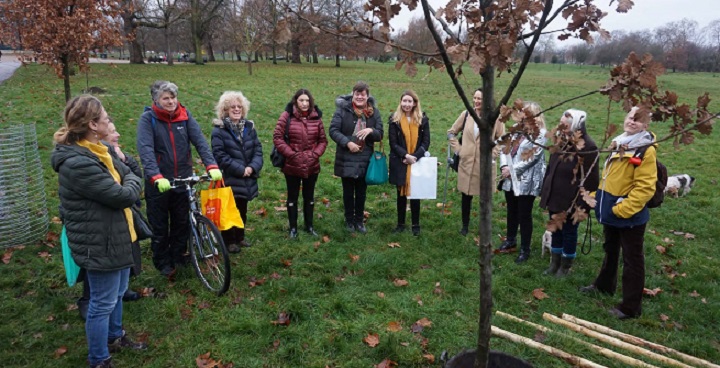 Friends of Clapham Common with a newly-planted healthy tree, Dec. 2018