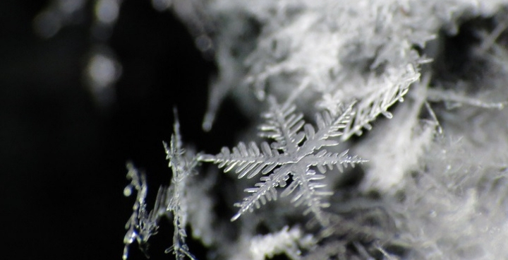 Close up photo of snowflake