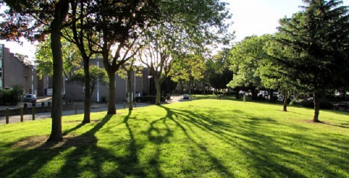 Photo of blocks on Palace Road estate shot from long distance across lawns and through the shadows of trees