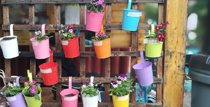 Children and adults created 4 living walls at Triangle Playground, including on e with flowers in brightly-coloured metal pots on a trellis