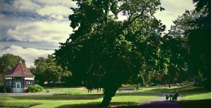 Myatt's Fields Park - hut to left, big tee front & centre, people walking and lying in the sun.