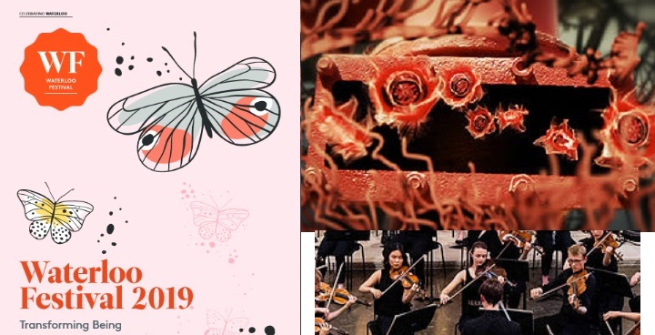 Waterloo Festival 2019 – transforming being