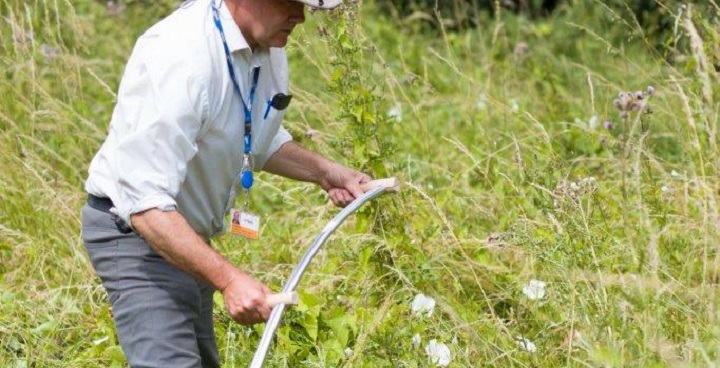 scything grass to clear Ruskin Park's wildlife area 2019