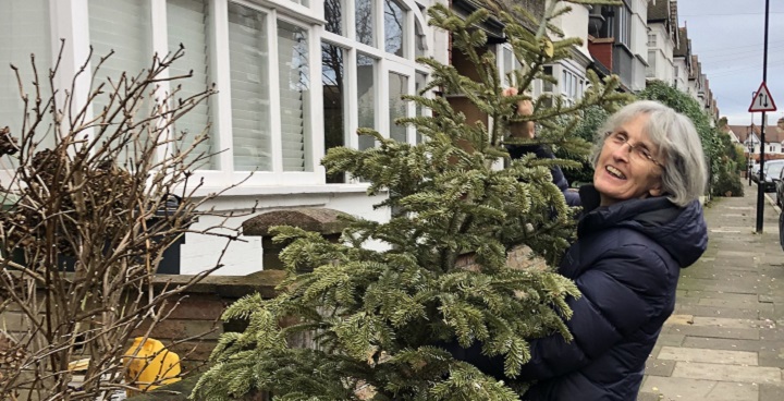 Cllr Meldrum takes out a Chjristmas tree for recycling