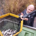 Dr Iain Boulton lifts a net of fish from a landrover to a pond in Clapham Common