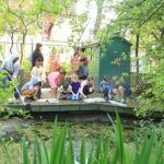 pond dipping at Vauxhall City Farm