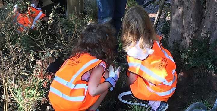 Community planting day Vauxhall Park October 2020