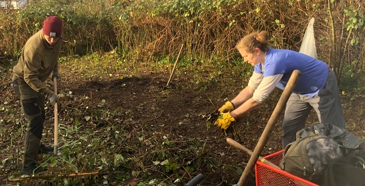 clearing brambles at Sunnyhill nature garden