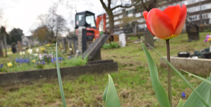 Award-winning West Norwood Cemetery