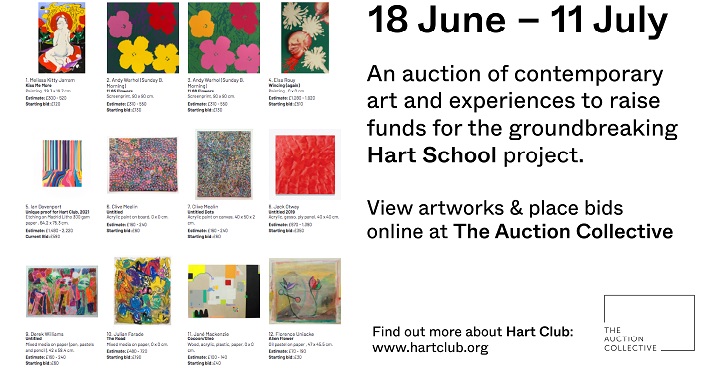 Online auction raises funds for inclusive art school