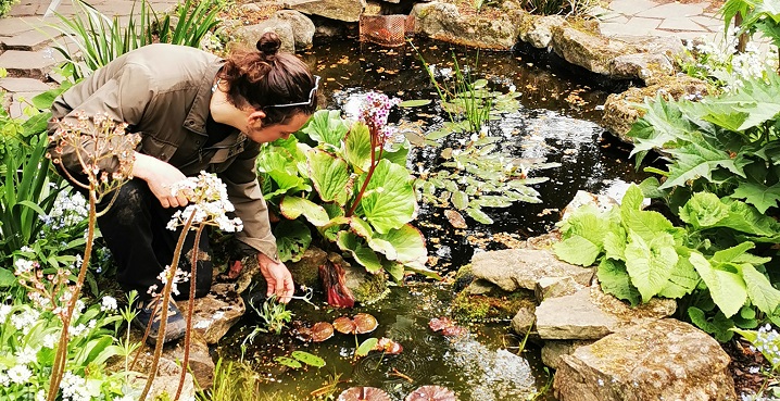 Streatham holding ponds for wildlife and improving water flow